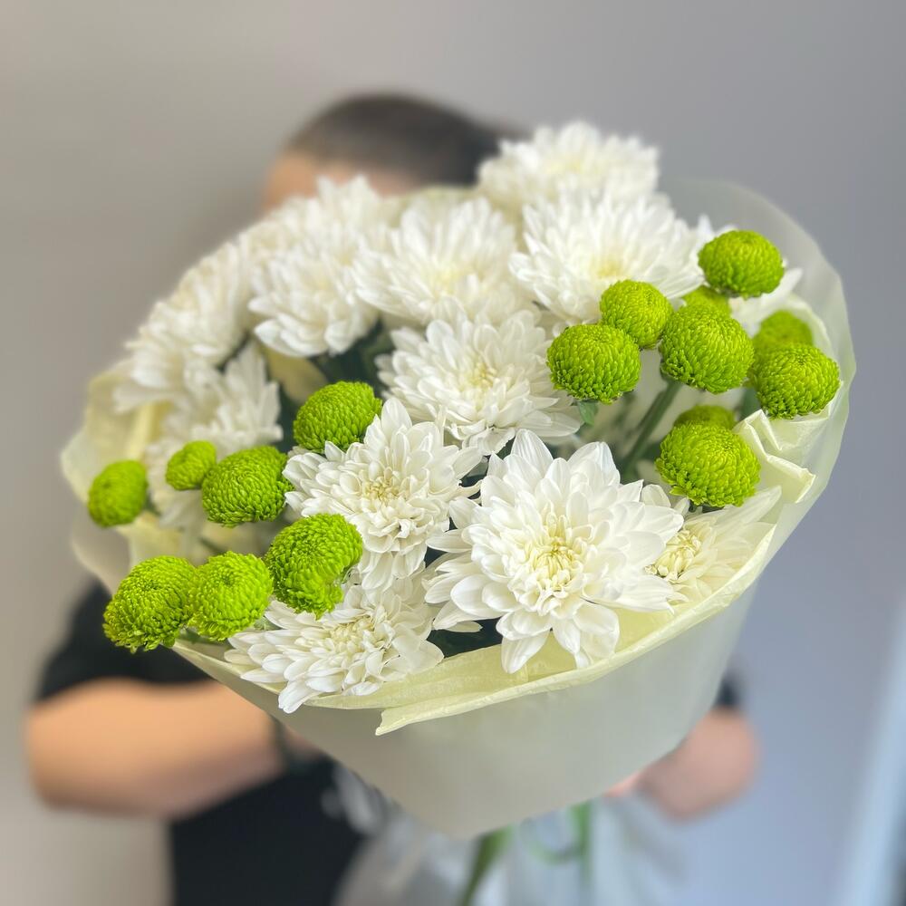 Эксклюзивный букет «Филин Грин» – сочетание белых и зеленых хризантем Рязань Рязанская область