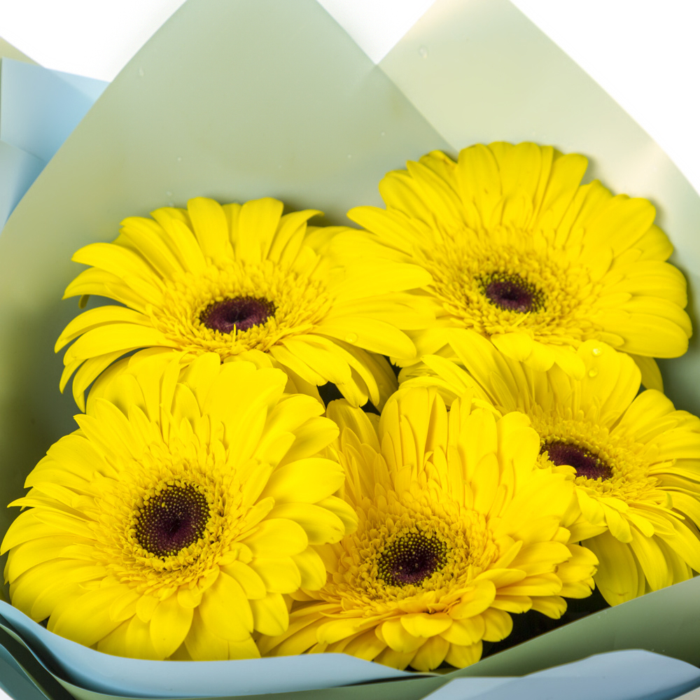 Яркий букет из 5 жёлтых гербер – как кусочек солнца в ваших руках Рязань Рязанская область
