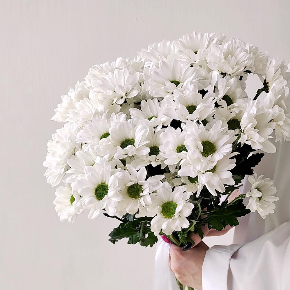 Букет «Ромашка» – 9 белоснежных хризантем в деревенском стиле Рязань Рязанская область