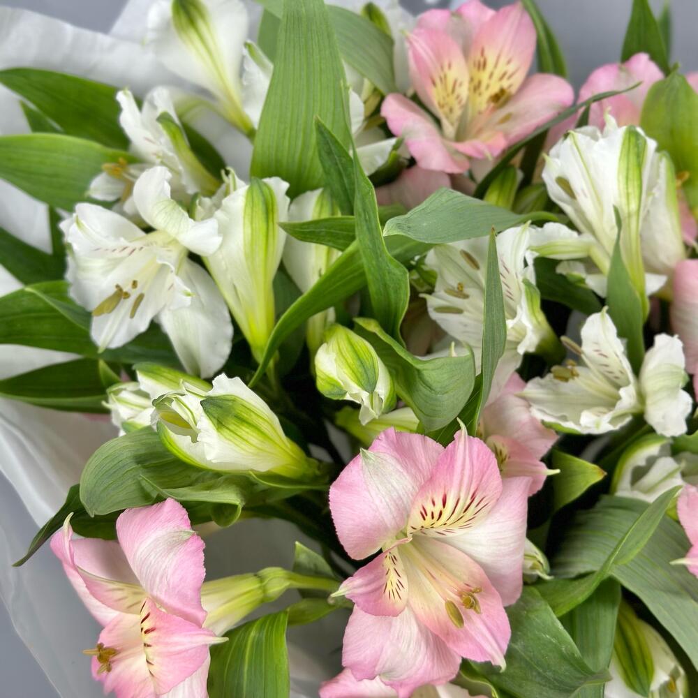 Букет «Нежность» – трогательное сочетание белых и розовых альстромерий Рязань Рязанская область