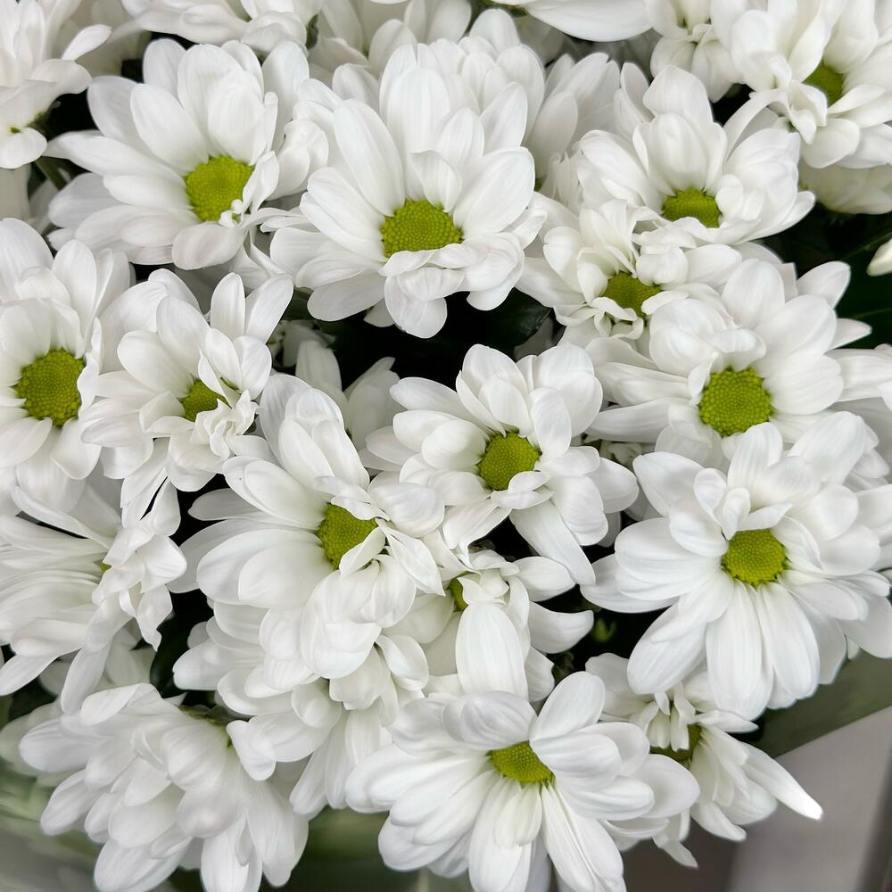 Букет «Мечты о лете» – свежесть белых хризантем Рязань Рязанская область