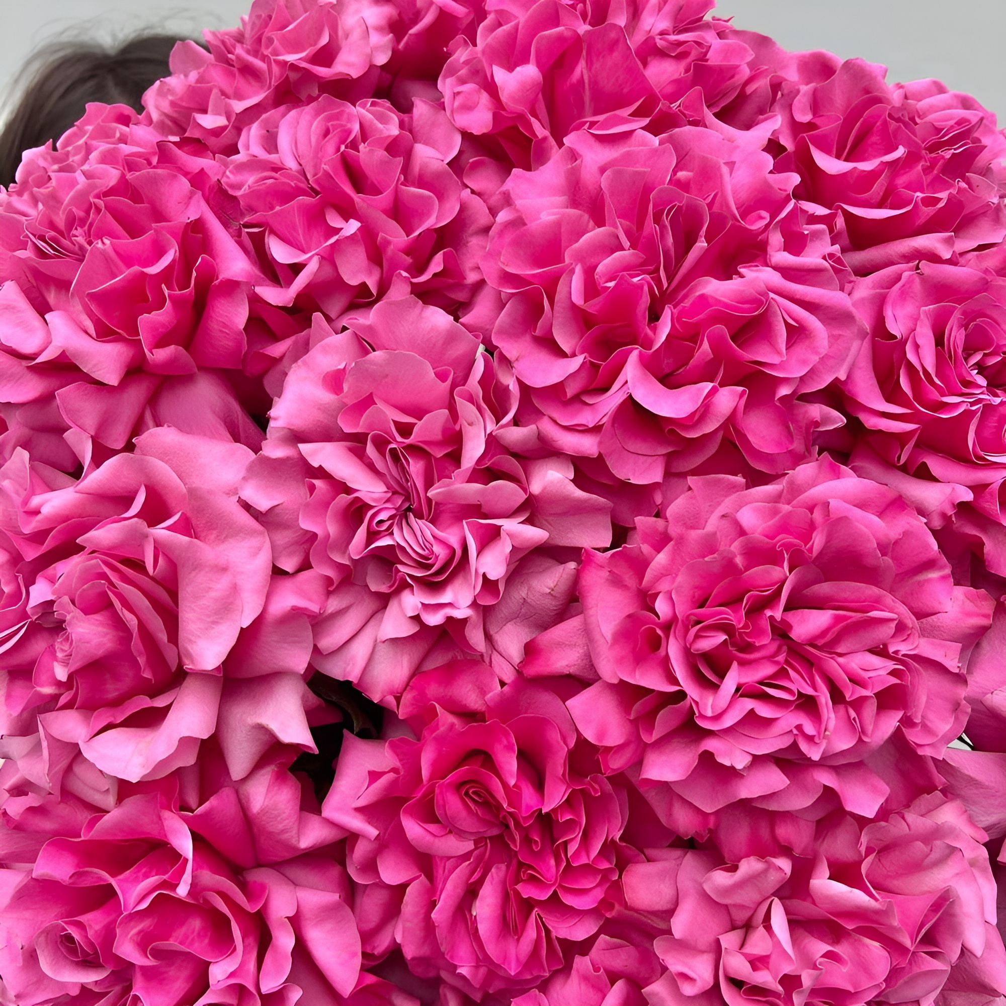 Роскошный букет из пионовидных роз – королевский подарок Рязань Рязанская область