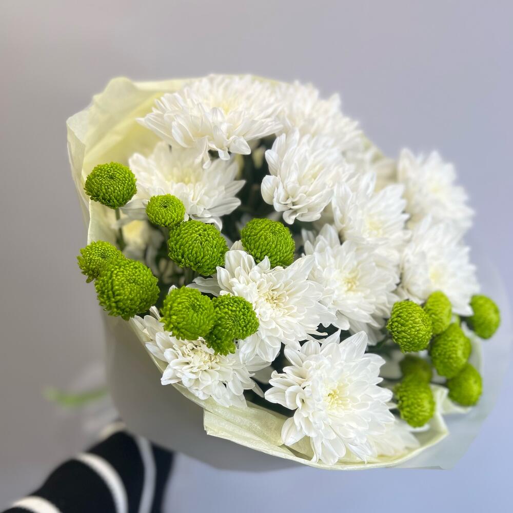 Эксклюзивный букет «Филин Грин» – сочетание белых и зеленых хризантем Рязань Рязанская область