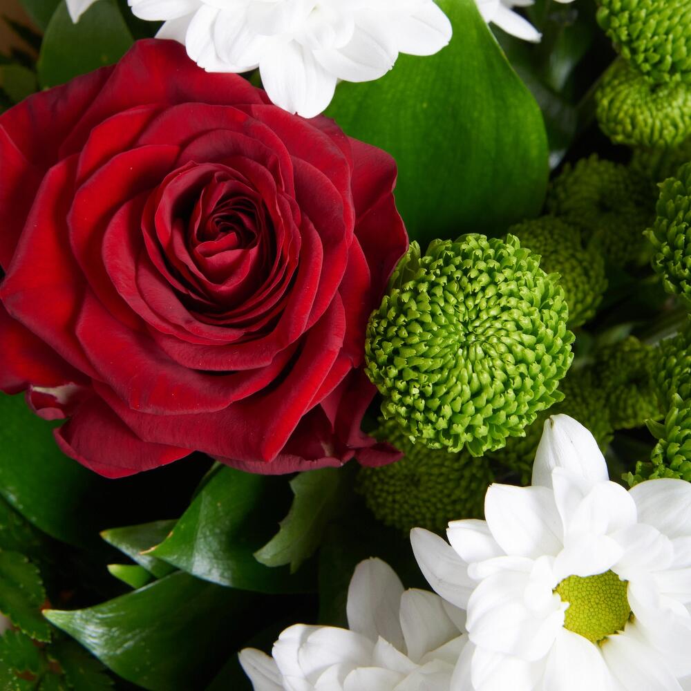 Букет «Настроение» – гармония красных эквадорских роз и нежных хризантем Рязань Рязанская область