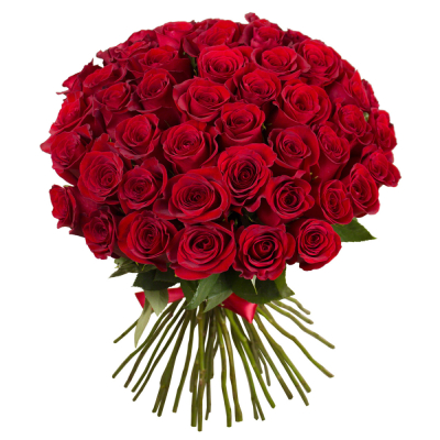 Букет «О, Шарман!» – 51 роскошная эквадорская роза Рязань Рязанская область