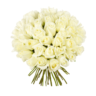 Роскошный букет из 51 белой розы – символ безграничной преданности Рязань Рязанская область