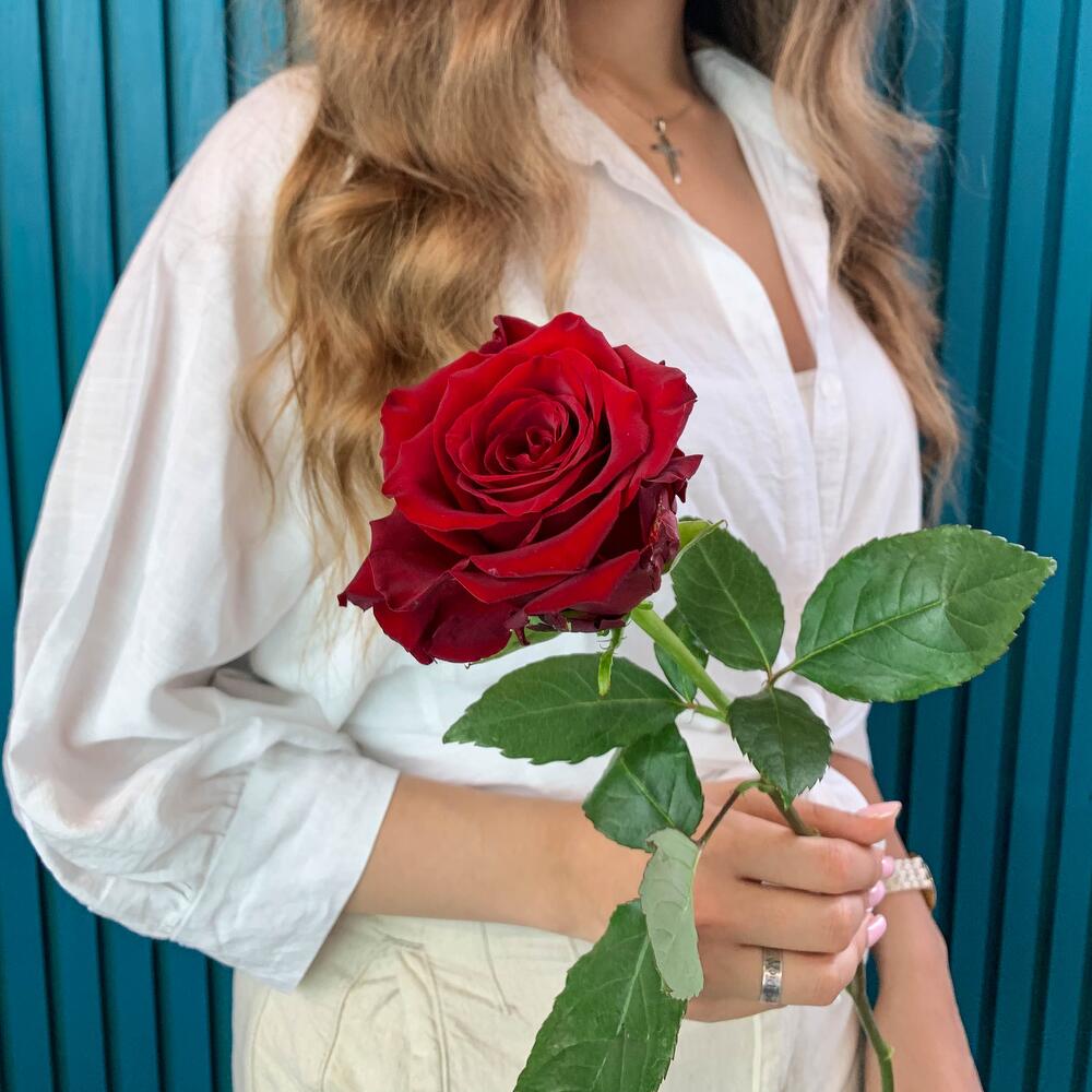 Комплимент из красной эквадорской розы – минимализм роскоши Рязань Рязанская область