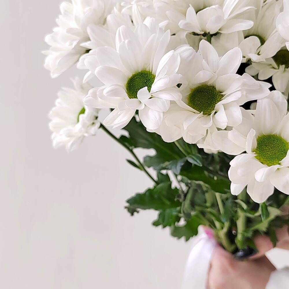 Букет «Ромашка» – 9 белоснежных хризантем в деревенском стиле Рязань Рязанская область