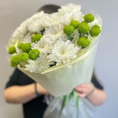 Эксклюзивный букет «Филин Грин» – сочетание белых и зеленых хризантем Рязань Рязанская область
