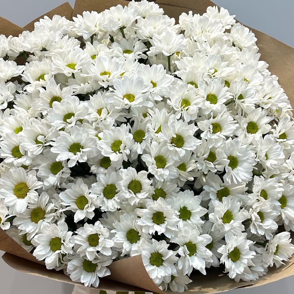 Букет «21 ромашка» – нежные белые кустовые хризантемы в натуральном стиле Рязань Рязанская область
