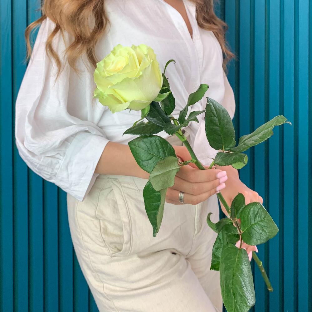 Комплимент из белой эквадорской розы – элегантность в каждом лепестке Рязань Рязанская область