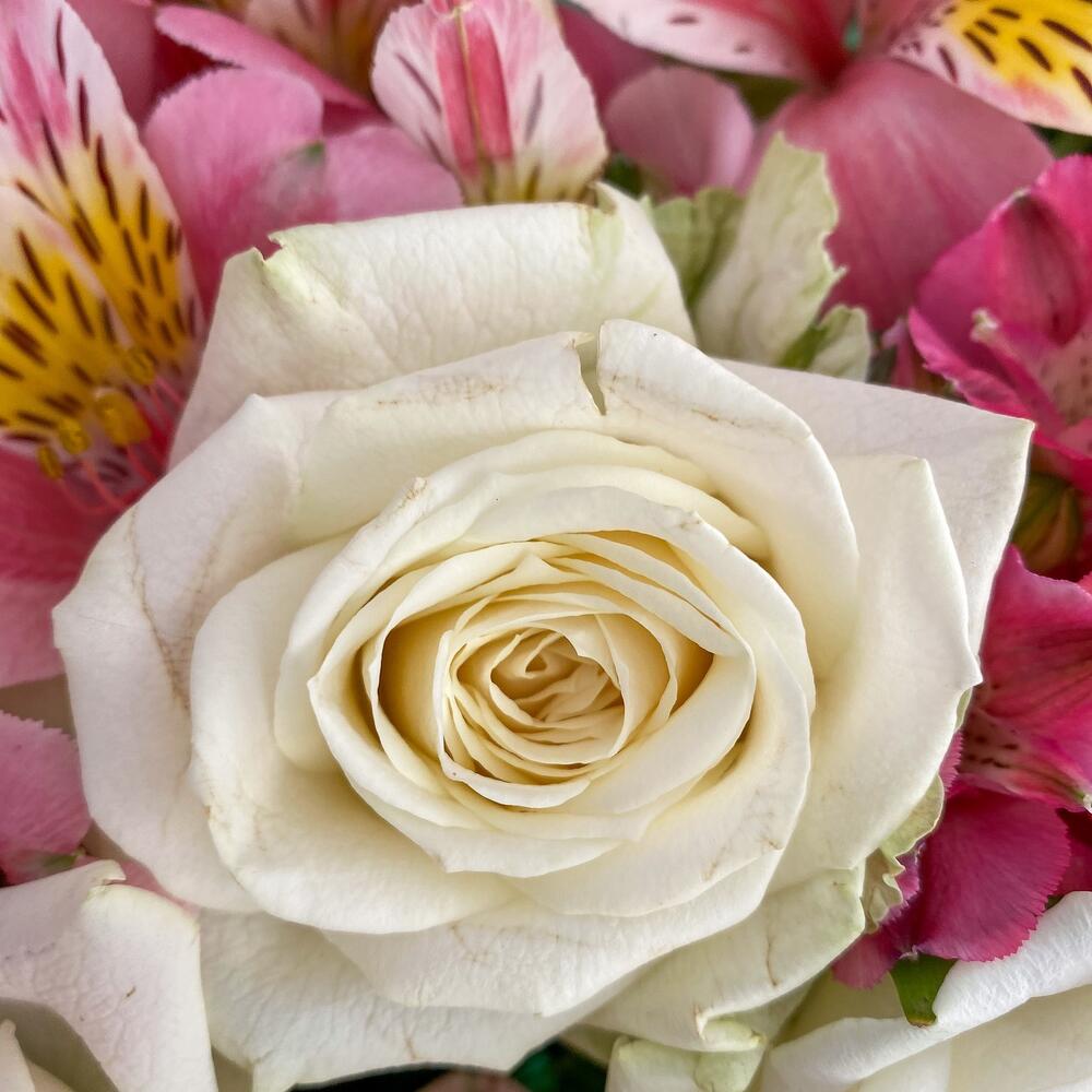 Букет «Николь» – изысканное сочетание роз, кустовых роз и альстромерий Рязань Рязанская область