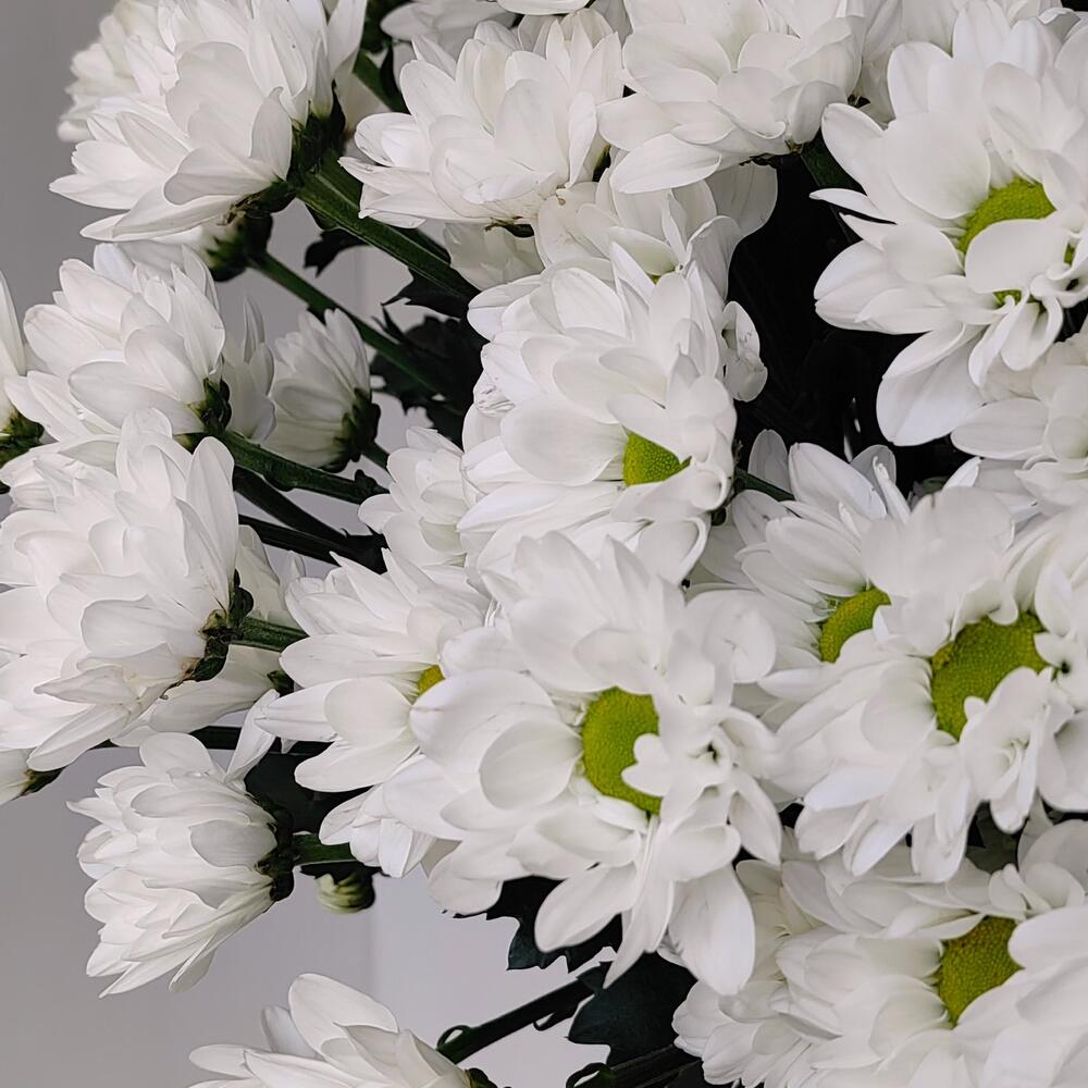 Букет «Ромашка» — свежесть белых хризантем в деревенском стиле Рязань Рязанская область