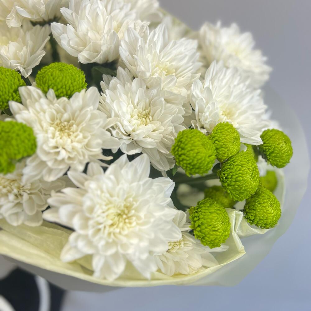 Эксклюзивный букет «Филин Грин» – сочетание белых и зеленых хризантем Рязань Рязанская область