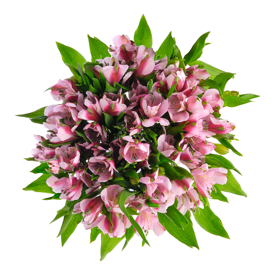 Букет «Хорошее настроение» из розовых альстромерий – солнечный подарок Рязань Рязанская область