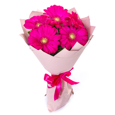 Букет из 5 малиновых гербер – сочный акцент вашего подарка Рязань Рязанская область