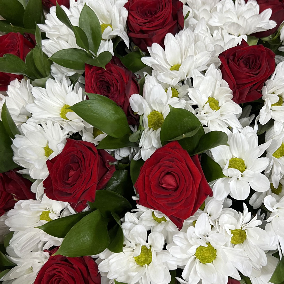 Букет «Романтика» — гармония красных роз и белоснежных хризантем Рязань Рязанская область