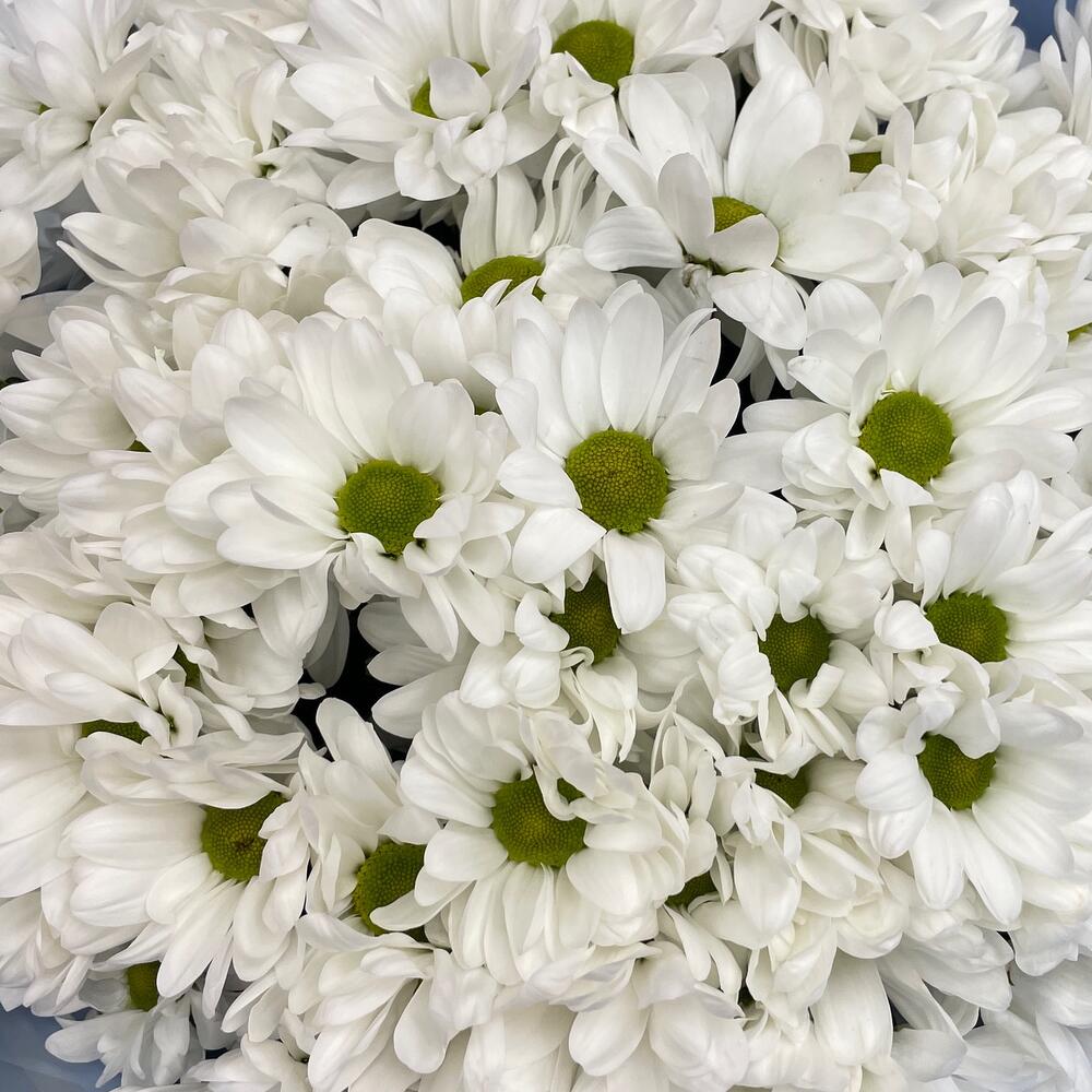 Букет «Ромашковое поле» – свежесть белых хризантем Рязань Рязанская область