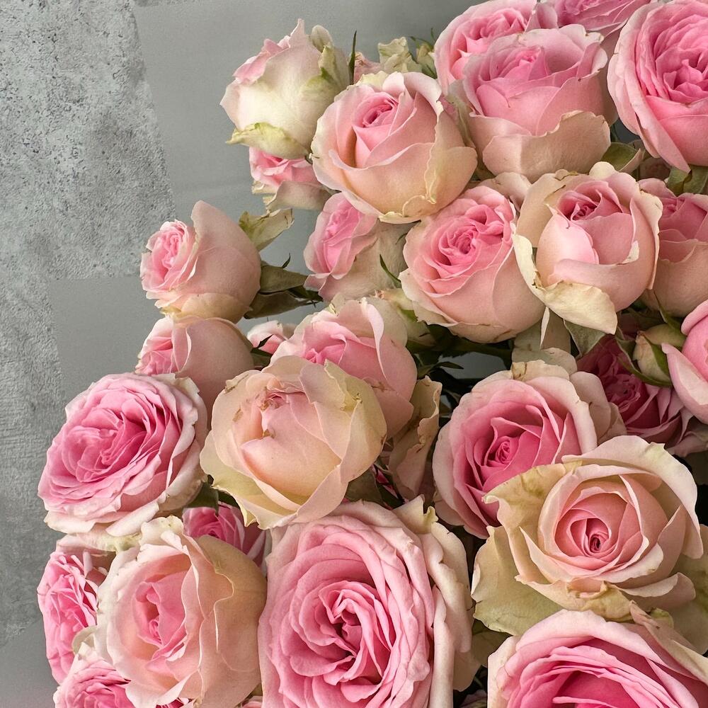 Букет «Нежный аромат» – пышные розовые кустовые розы в элегантной упаковке Рязань Рязанская область